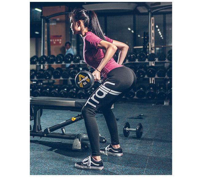 半岛官方入口app